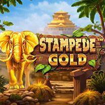 BetSoft Stampede Gold Game at Whyzczy