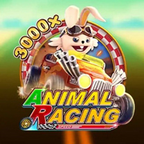 Animal Racing